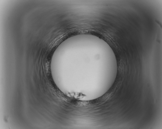 X0000102510139200808081015