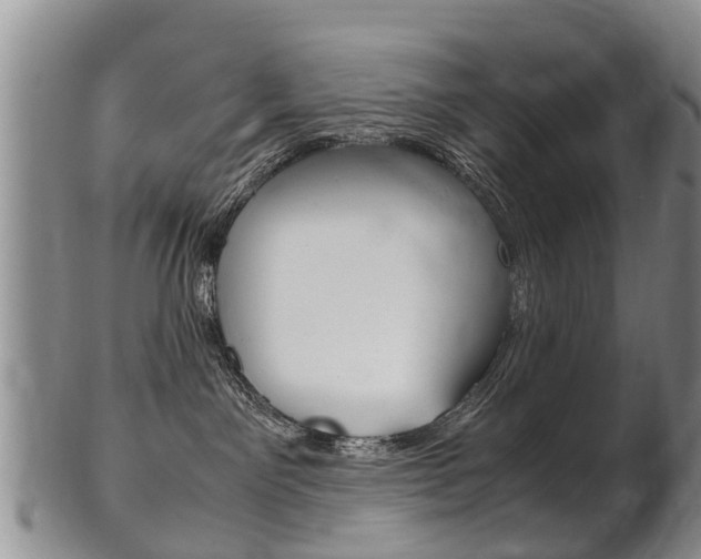X0000102510141200808081015
