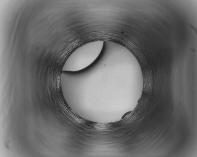 X0000102510142200808081015