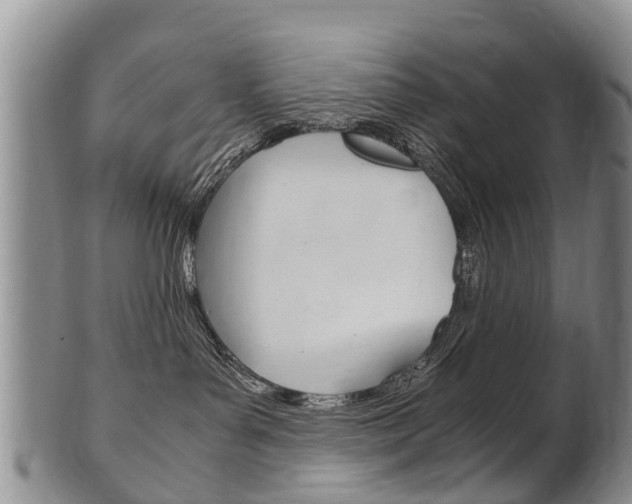 X0000102510143200808081015
