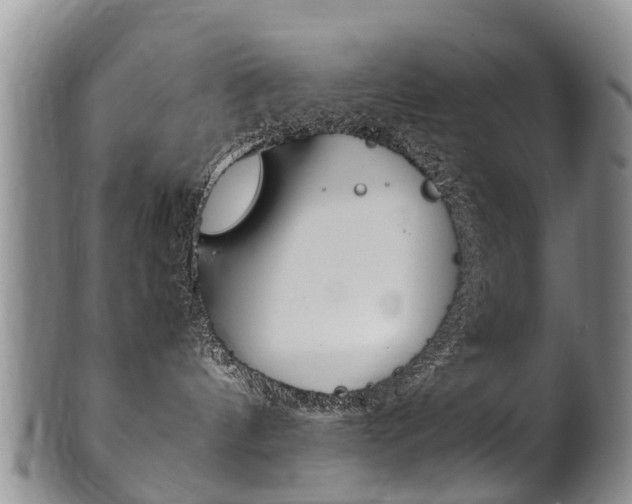 X0000102510144200808081015