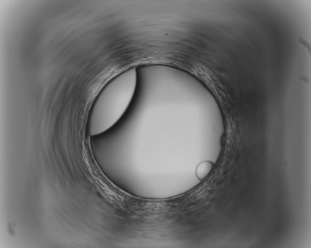 X0000102510145200808081014