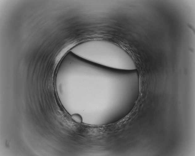 X0000102510147200808081014