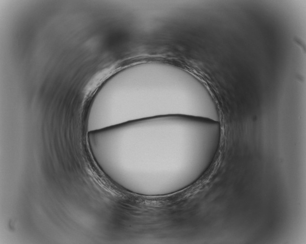 X0000102510149200808081014