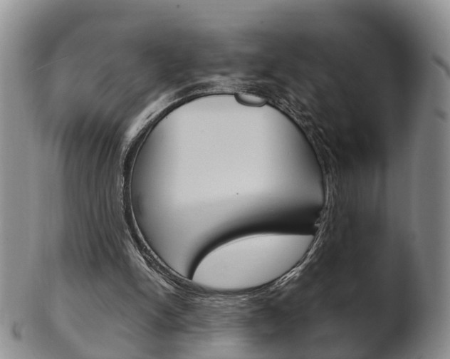 X0000102510150200808081014