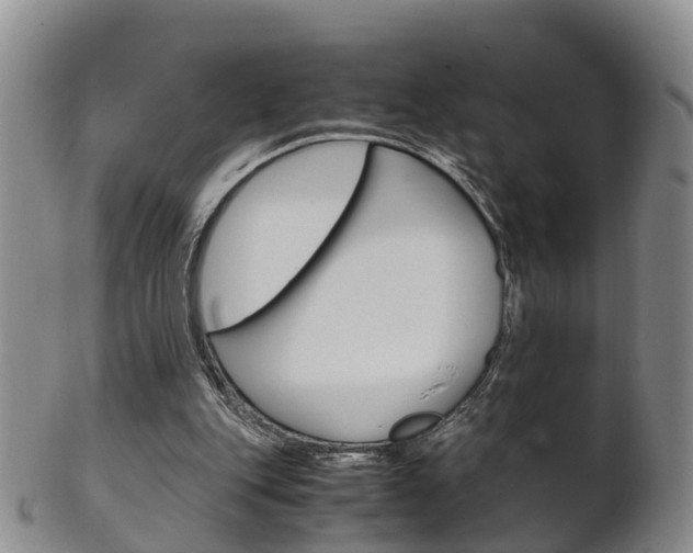 X0000102510151200808081014