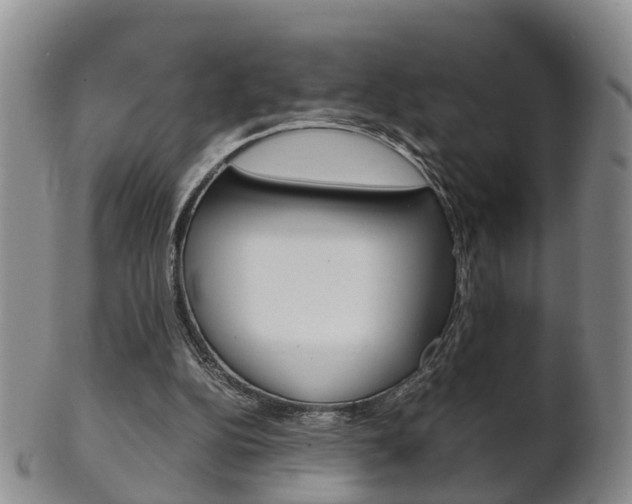 X0000102510152200808081014