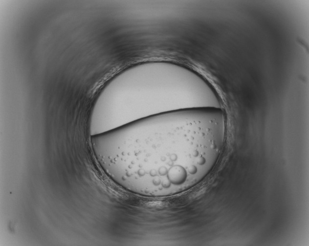 X0000102510153200808081014