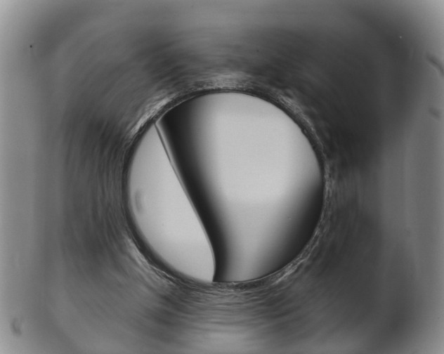 X0000102510154200808081014