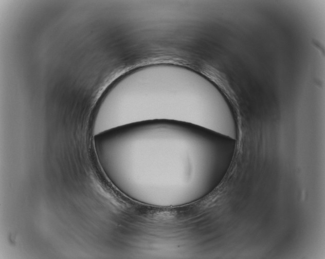 X0000102510156200808081014