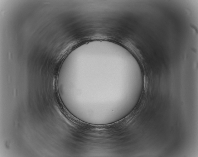 X0000102510157200808081014