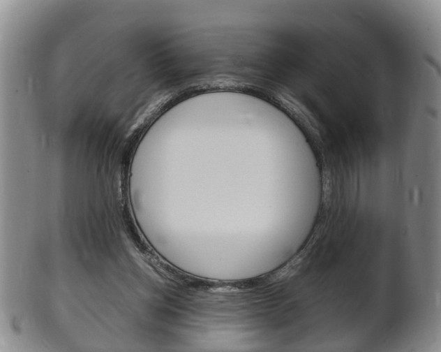 X0000102510158200808081014