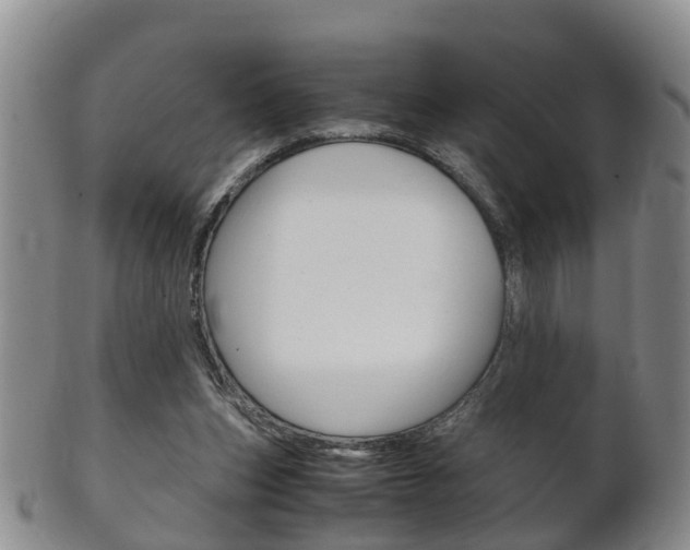 X0000102510159200808081014