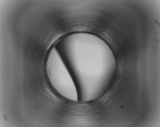 X0000102510160200808081014