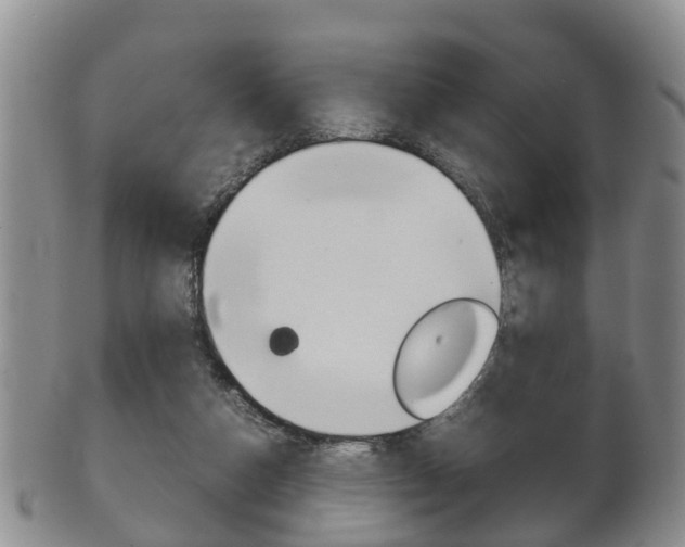 X0000102510162200808081014