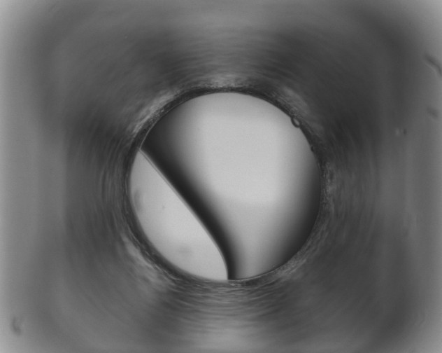 X0000102510164200808081015