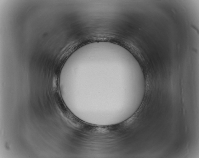 X0000102510166200808081015