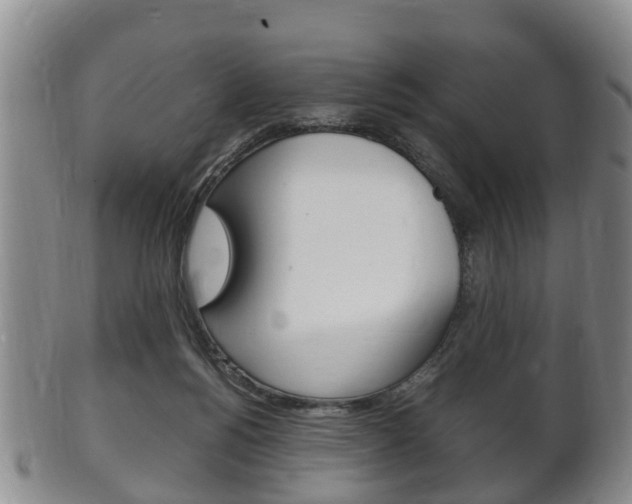 X0000102510168200808081015