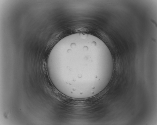 X0000102510169200808081015