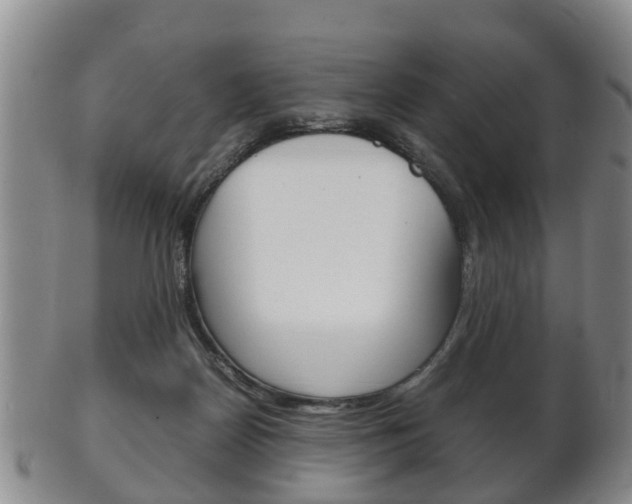 X0000102510170200808081015
