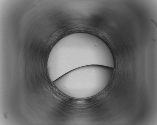 X0000102510173200808081015