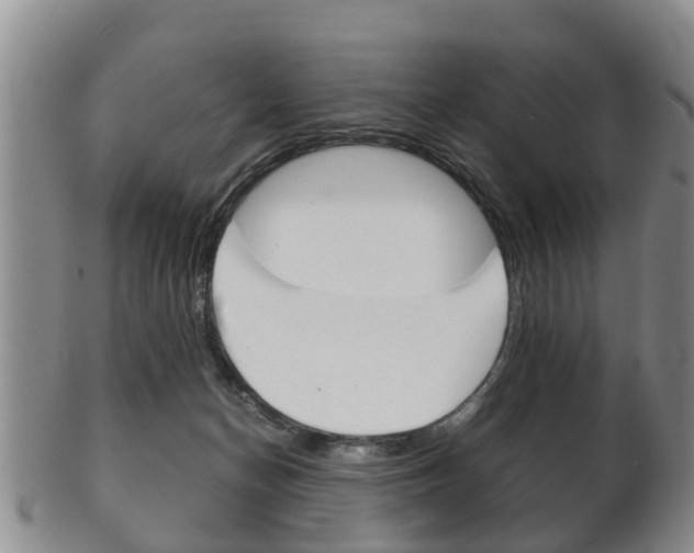 X0000102510174200808081015