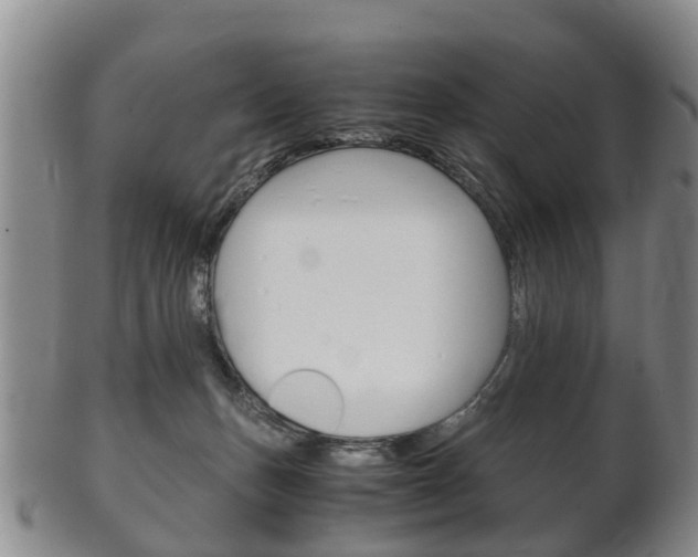 X0000102510175200808081015