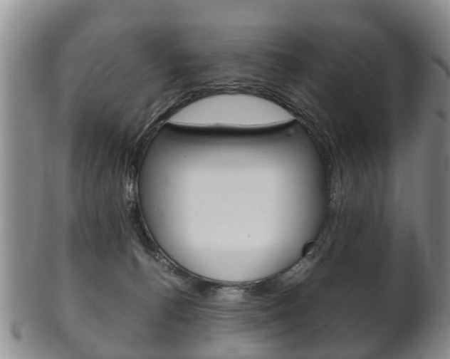 X0000102510176200808081015