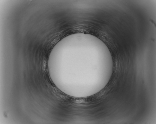 X0000102510177200808081015