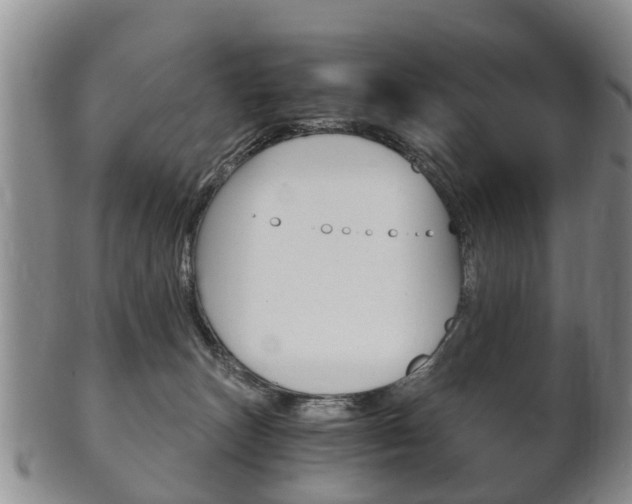X0000102510179200808081015