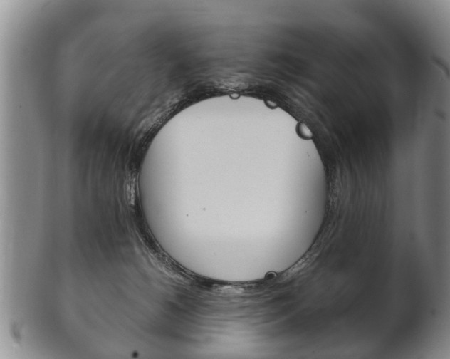 X0000102510180200808081015