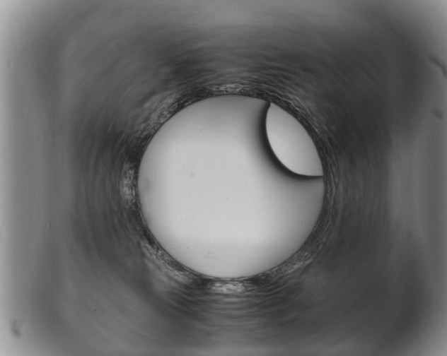X0000102510181200808081015