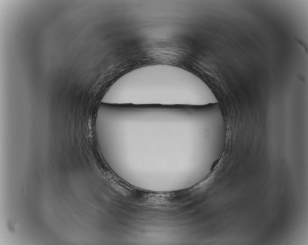 X0000102510182200808081015