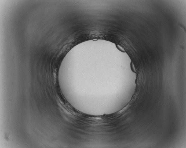 X0000102510183200808081015