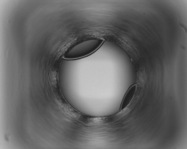 X0000102510184200808081015