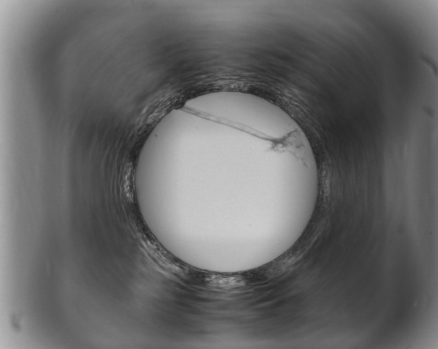X0000102510185200808081015