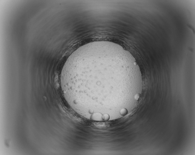 X0000102510187200808081015