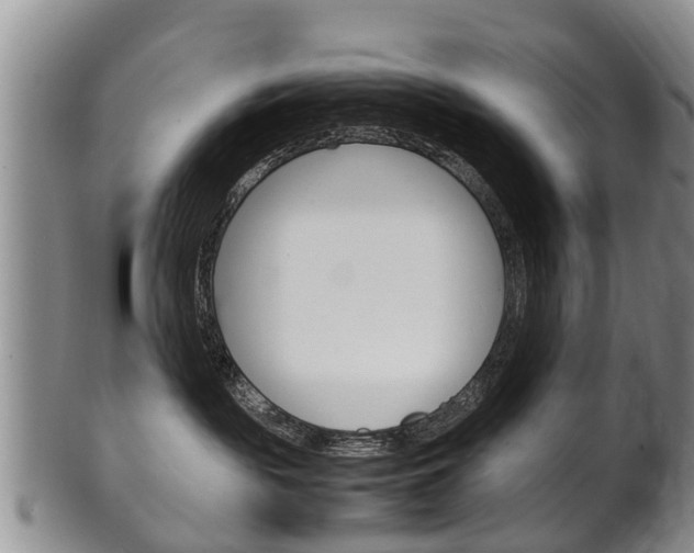 X0000102510189200808081015