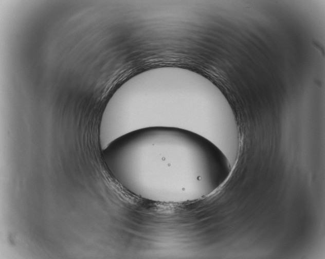 X0000102510190200808081015