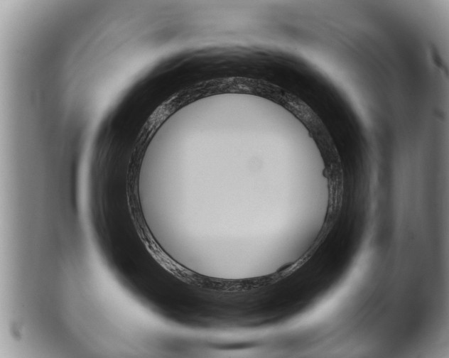 X0000102510191200808081015