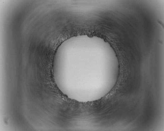 X0000102510192200808081015