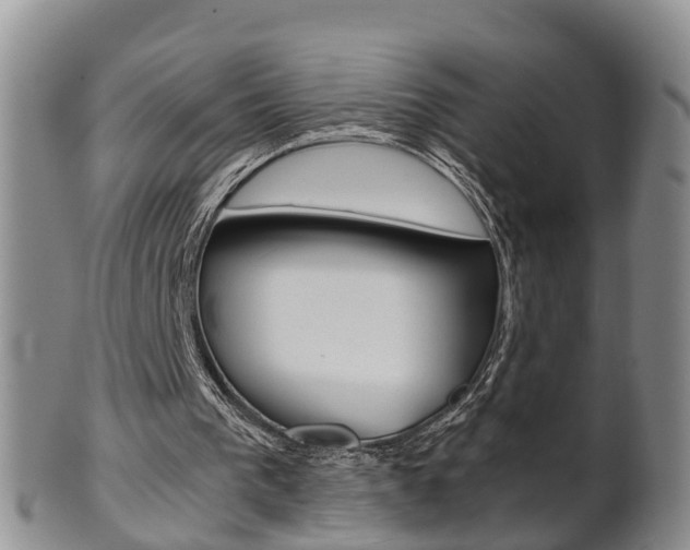 X0000102510193200808081014