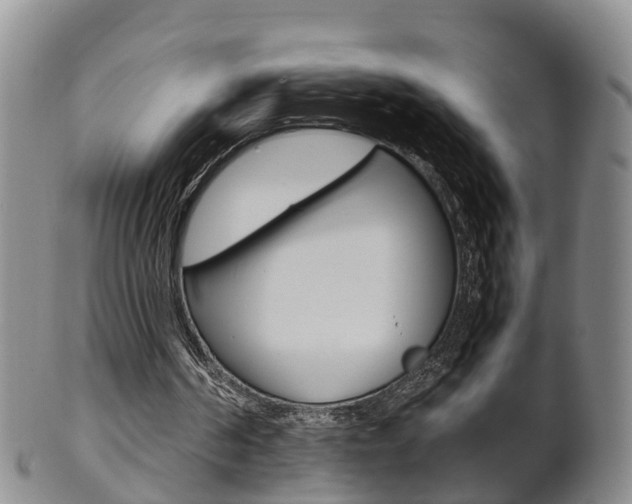 X0000102510194200808081014