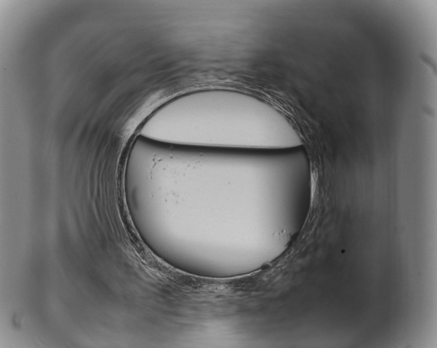X0000102510195200808081014