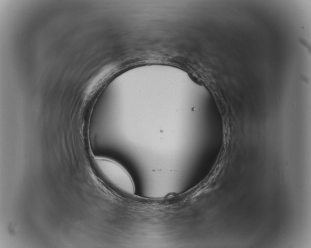 X0000102510197200808081014