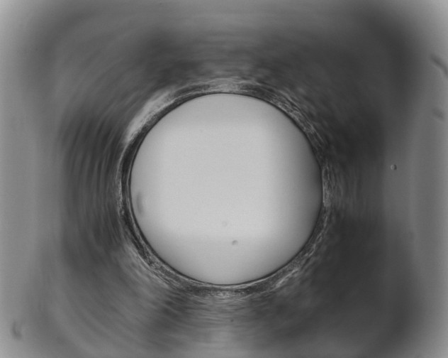 X0000102510198200808081014