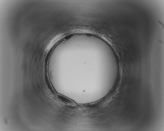 X0000102510199200808081014