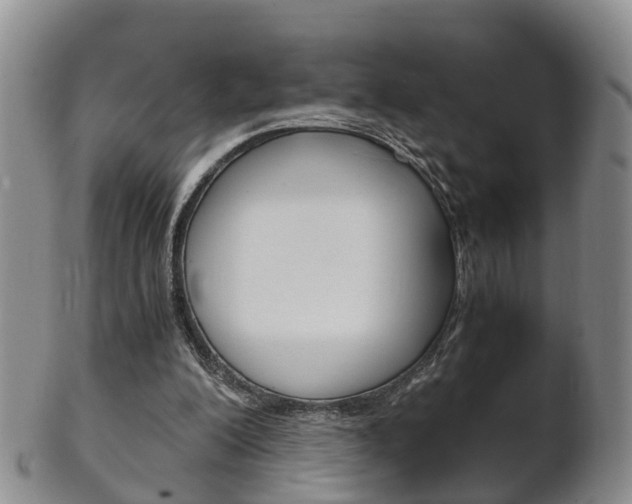 X0000102510200200808081014