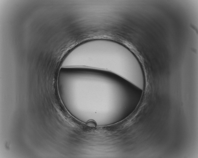 X0000102510201200808081014