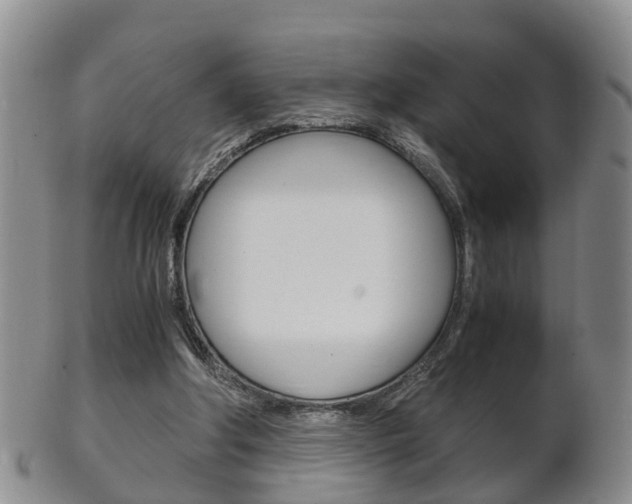 X0000102510202200808081014